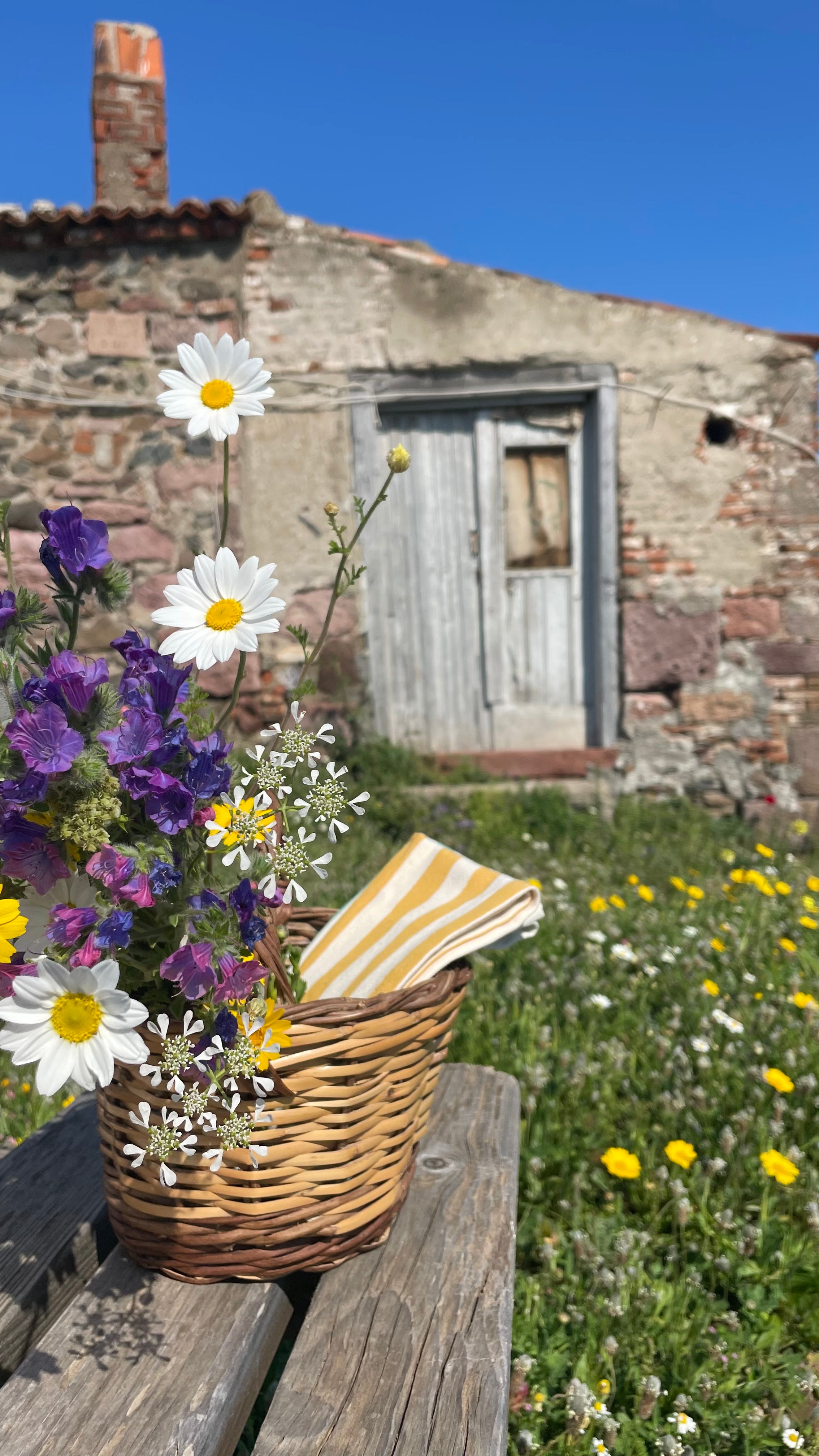 DAY Napkin | Set of 2, Green