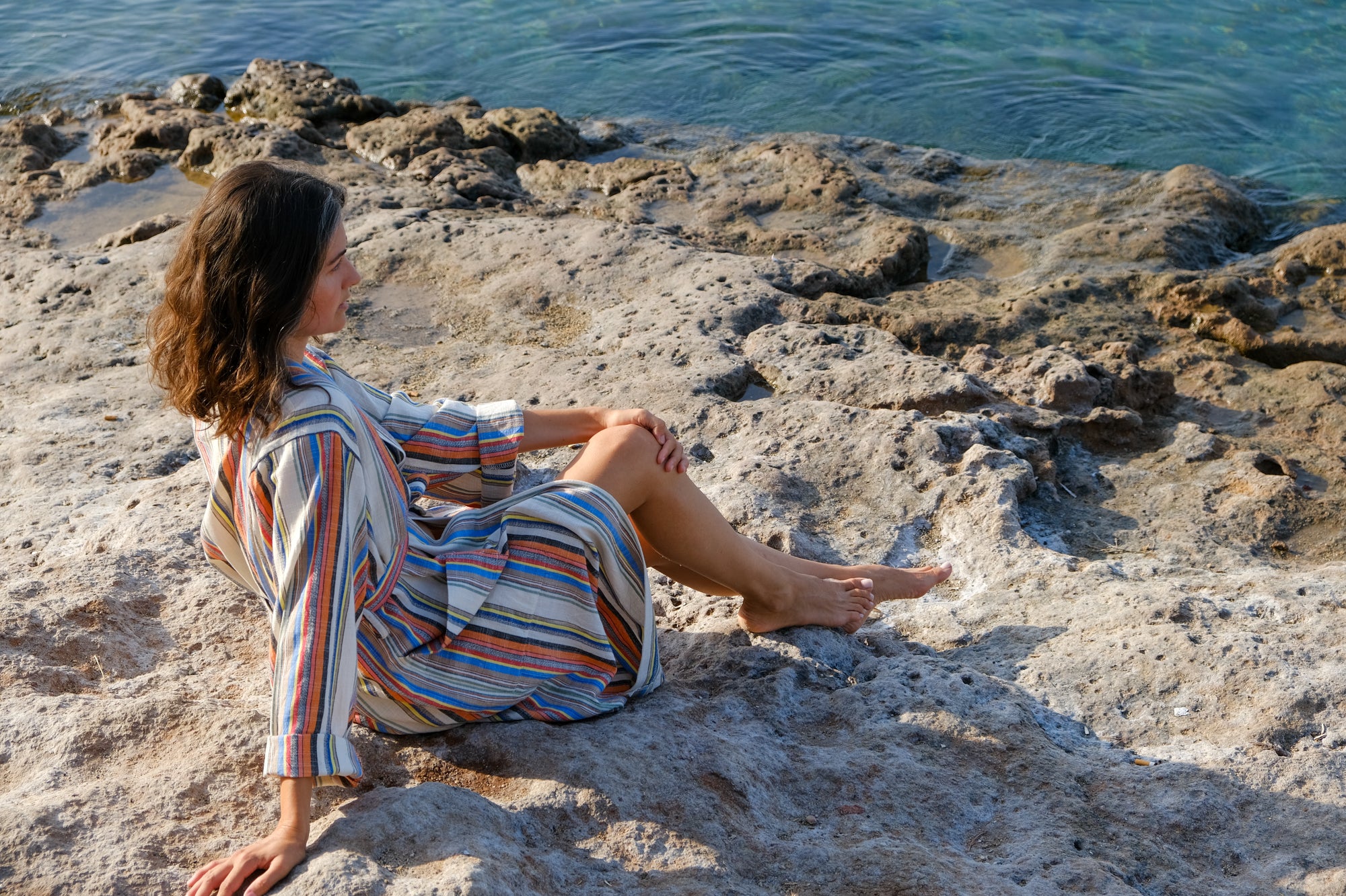 TERRA Bornoz image 5